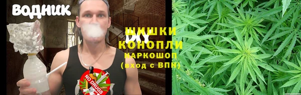 гидропоника Абаза
