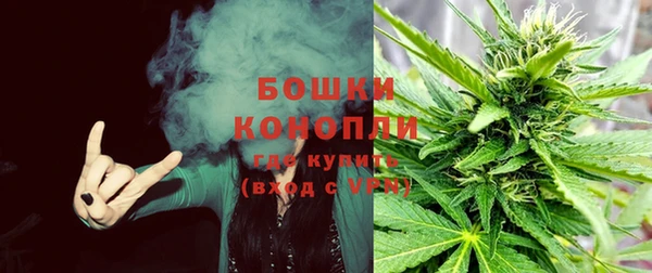 гидропоника Абаза