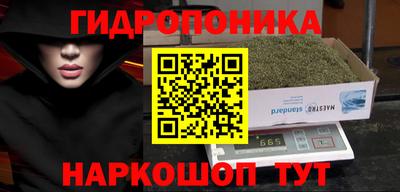 шишки Бузулук