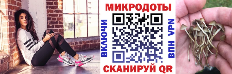 Галлюциногенные грибы мухоморы  Кудымкар 
