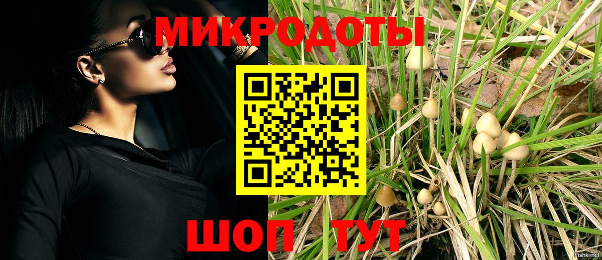 Галлюциногенные грибы прущие грибы Кудымкар