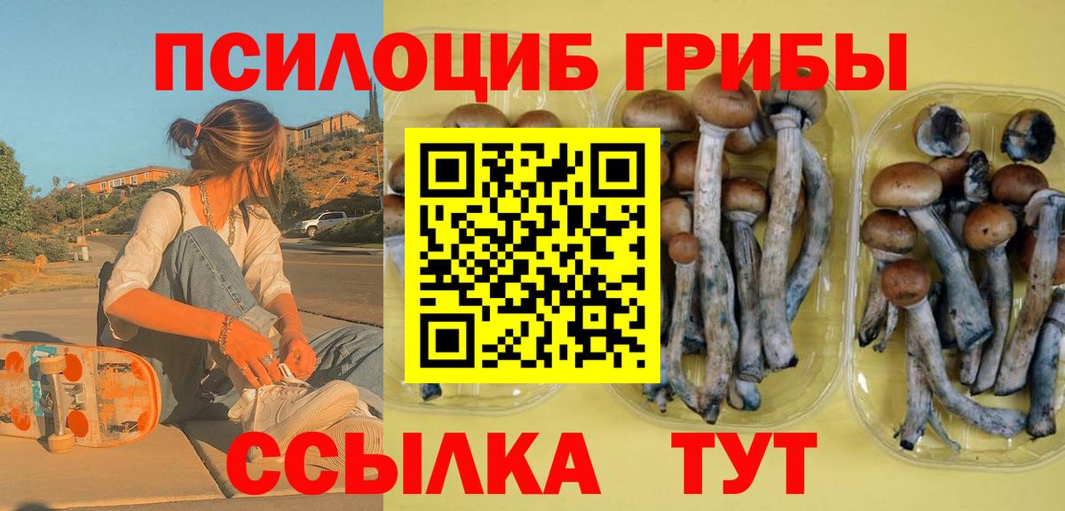 Галлюциногенные грибы GOLDEN TEACHER  Вход с VPN  Кудымкар  закладки  Псилоцибиновые грибы мицелий 